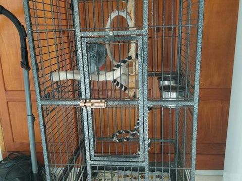Cage pour perroquet 150 74540 Viuz-la-chi�saz