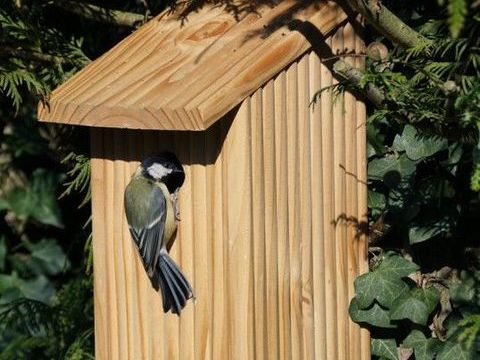 Nichoirs pour oiseaux du jardin 30 45230 La bussi�re