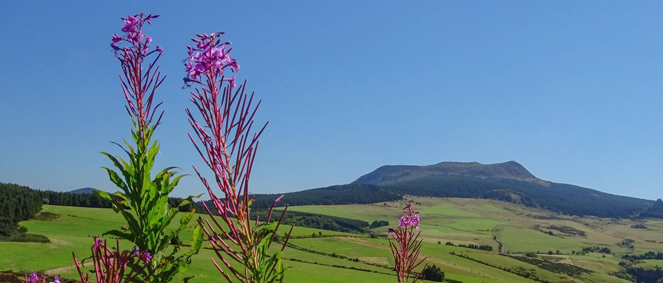 Agence AGENCE CEVENOLE IMMOBILIER Le Chambon-sur-Lignon