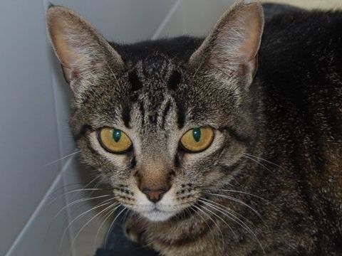 DEISY 220 95610 �ragny