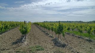  Terrain � vendre 40000 m�