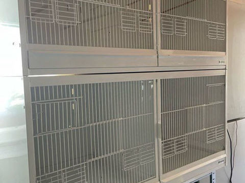 Cages &eacute;levage canaris 160 57430 Sarralbe