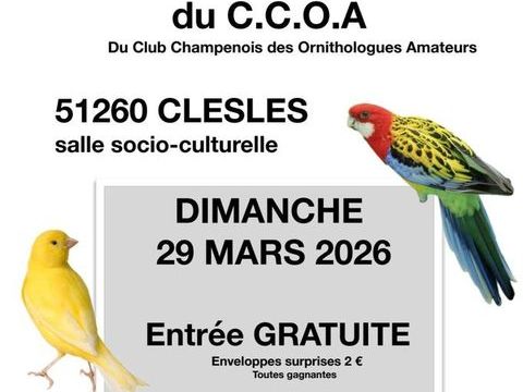 bourse oiseaux d'elevage exotiques du club  C.C.O.A 0 51130 Villeseneux