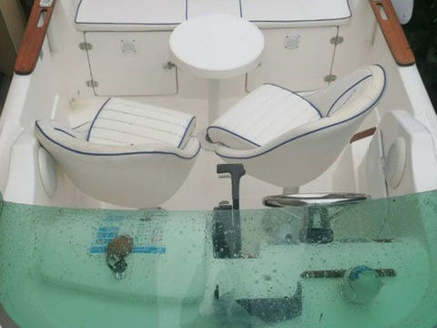 Bateaux &agrave; moteur P&ecirc;che-promenade 1999 occasion Lannion 22300