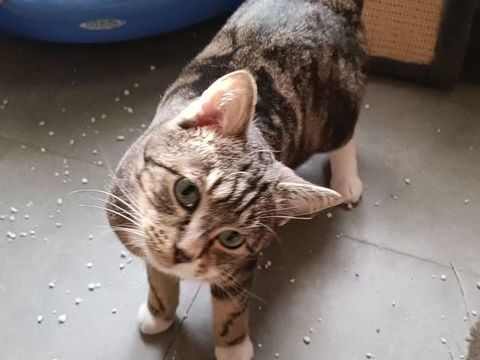 EMILIA 240 92400 Courbevoie