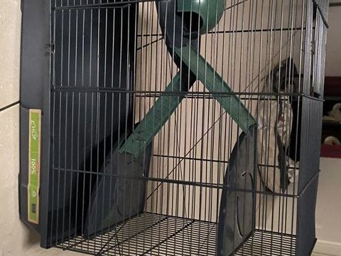 Cage pour hamster avec accessoires 45 85400 Luon