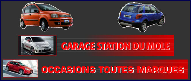 STATION DU MOLE, concessionnaire 74