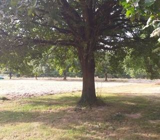  Terrain � vendre 2269 m�