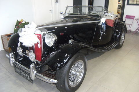 MG Divers MG TD CABRIOLET RESTAUREE 1950 occasion Plo&euml;rmel 56800