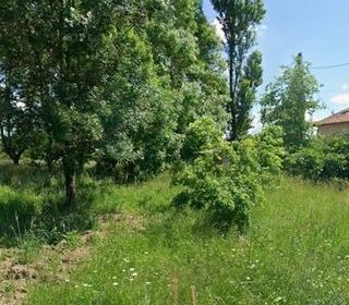  Terrain � vendre 1288 m�