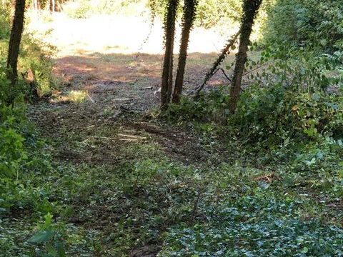 Pour animaux de ferme: PRÊTE terrain 5000m2->52300 Joinville 0 52300 Suzannecourt