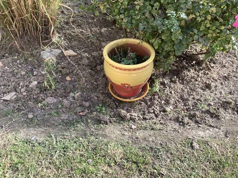 Pot fleur  20 Saint-Hilaire-de-Riez (85)