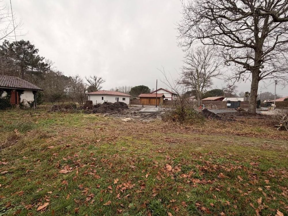 Maisons neuves   Linxe (40260)