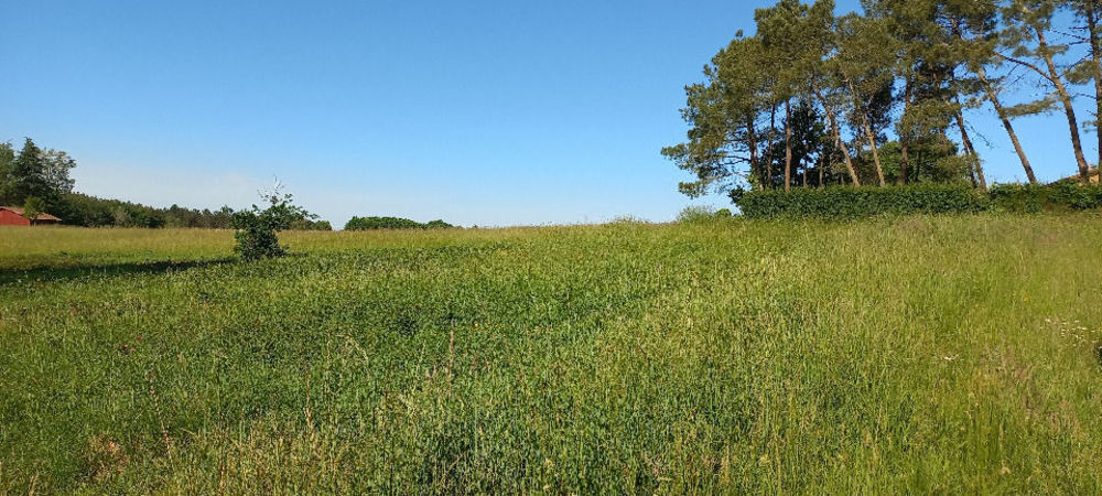 Terrains � batir   �chourgnac (24410)