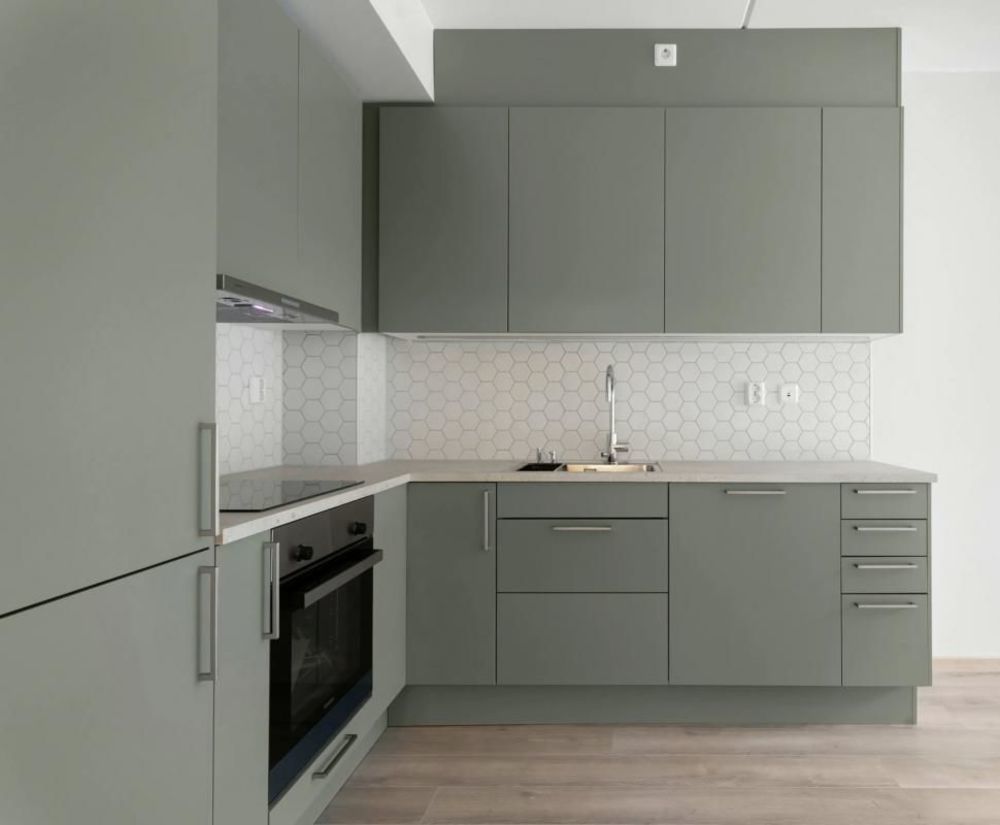 Appartements neufs   Pompertuzat (31450)