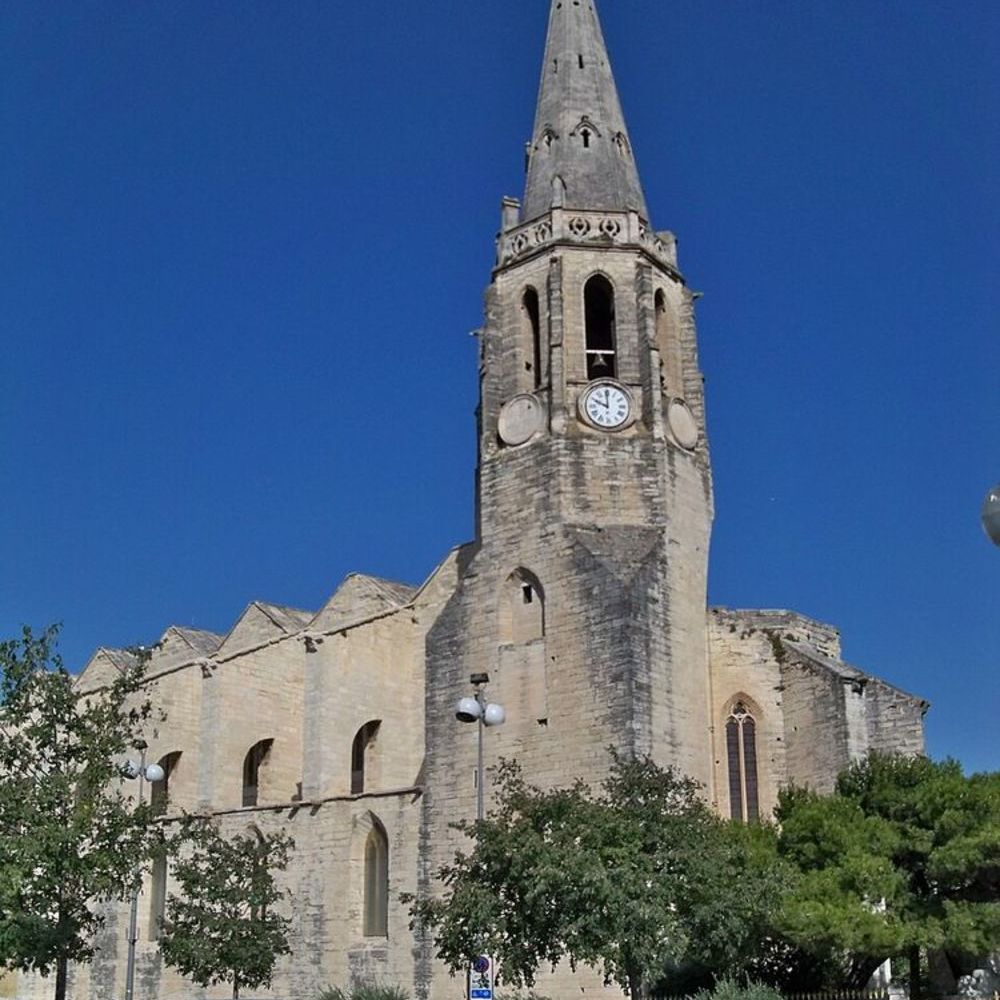   Avignon (84000)