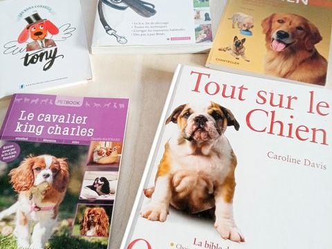 LIVRES SUR LES CHIENS 10 35730 Pleurtuit