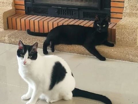 ZAKAT ET ZARIA 370 92400 Courbevoie