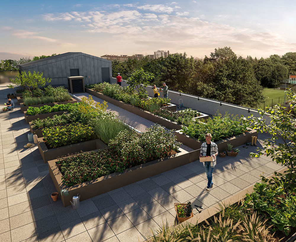 Appartements neufs   Montreuil (93100)