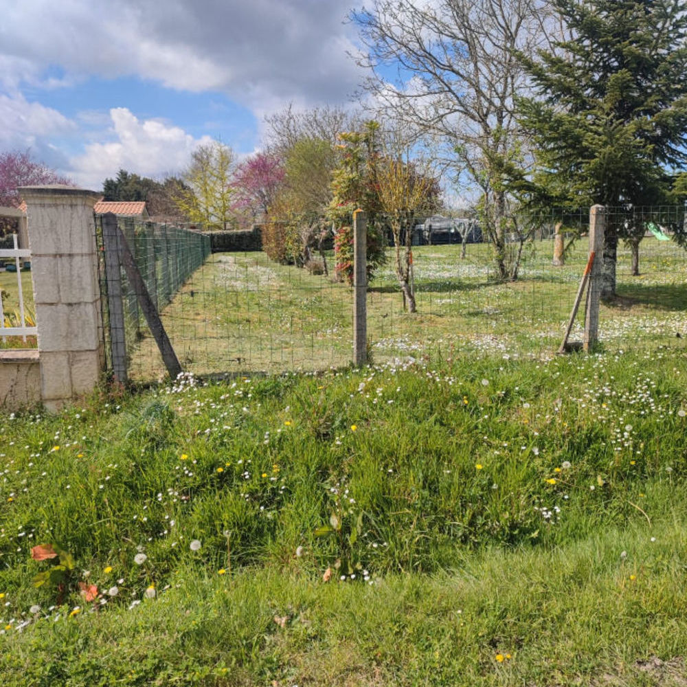 Maisons neuves   Arveyres (33500)