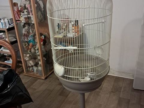 Cage ronde m&eacute;tallis&eacute;e avec pied plastique adapte 40 59155 Faches-thumesnil