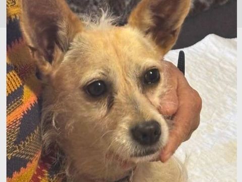 LAIKA 300 27620 Gasny