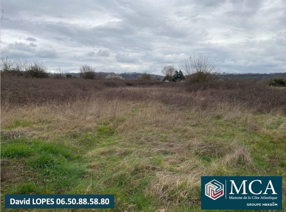 Maisons neuves   Saint-Magne-de-Castillon (33350)