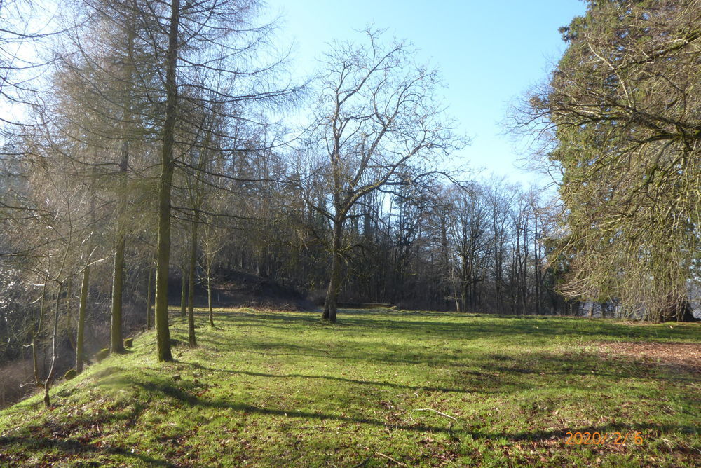 � vendre  Propri�t�/ch�teau Ham-sous-Varsberg (57880)