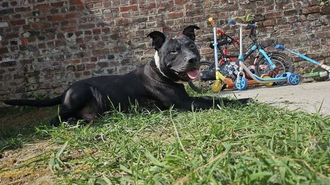 Paco 330 59200 Tourcoing