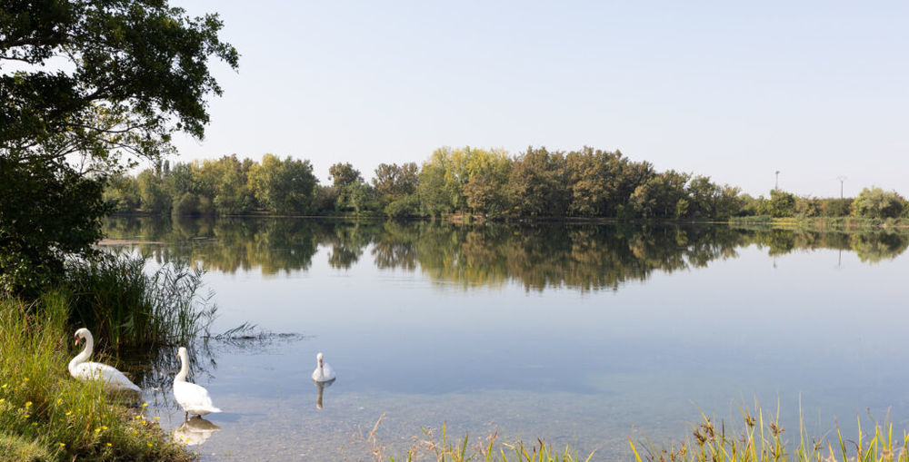 Appartements neufs et Maisons neuves   Ambar�s-et-Lagrave (33440)