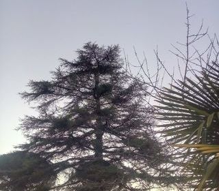  Appartement � vendre 13 pi�ces 100 m�