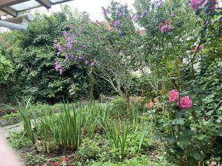  Maison � vendre 8 pi�ces 156 m�