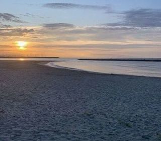  Appartement � louer 2/3 pi�ces 35 m�