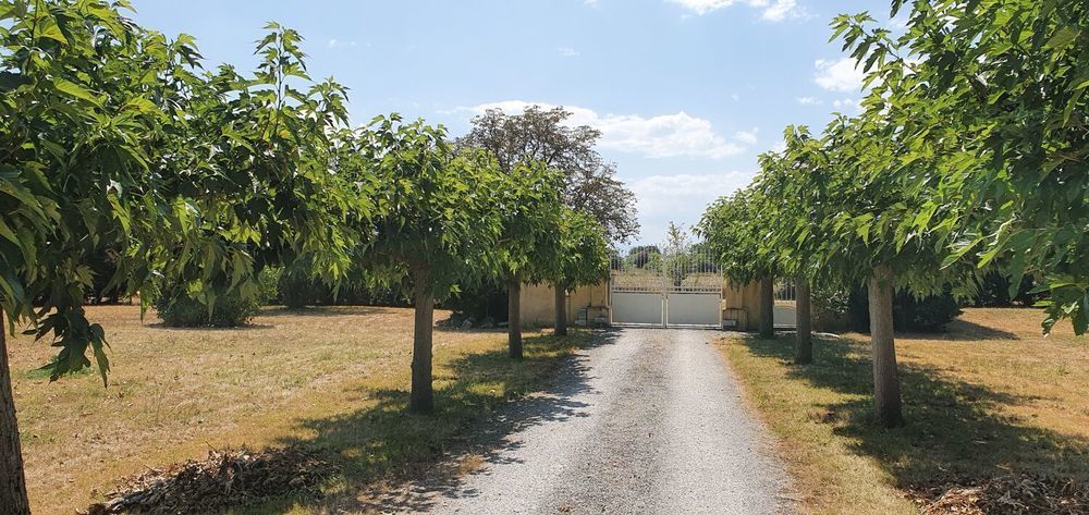 � vendre  Maison Peyssies (31390)