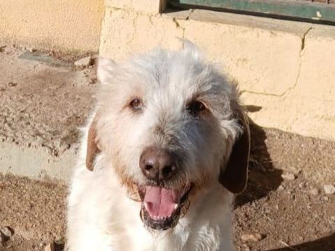 LUHO 320 27620 Gasny