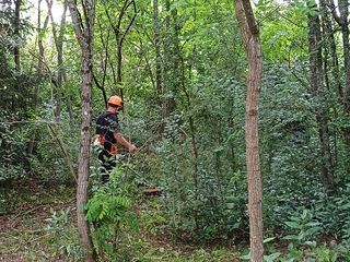  Terrain � louer 558 m�