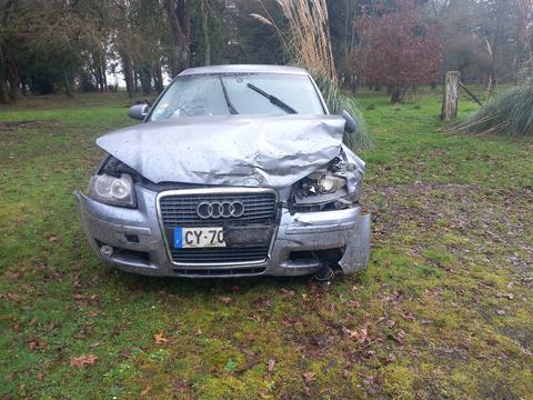 Audi A3 SportBack 1.9 TDI Ambition 2005 occasion Livry 14240