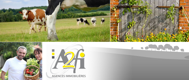 A2FI AGENCE IMMOBILIERE, agence immobilire 69