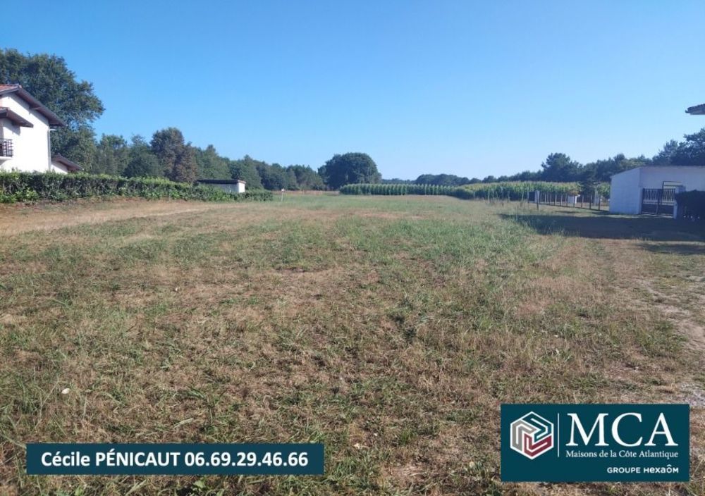 Maisons neuves   Sort-en-Chalosse (40180)