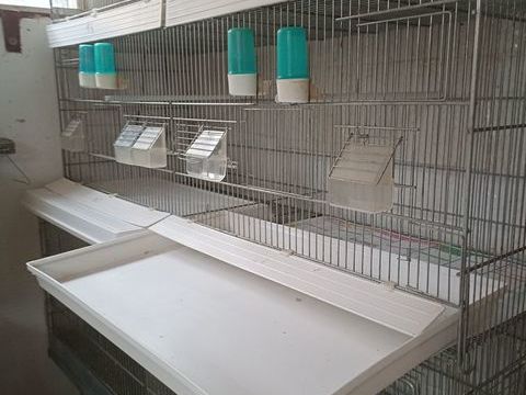 4 SUPERBES CAGES COVA 85 26130 Clansayes