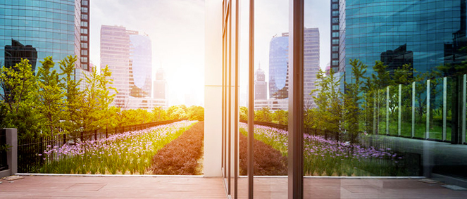 Agence REGIE DU COMMERCE Lyon