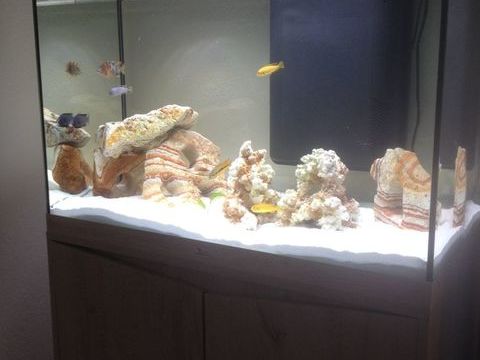 cychlides 20 34110 Frontignan