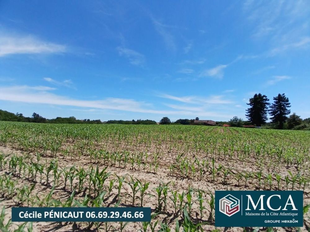 Maisons neuves   Mugron (40250)