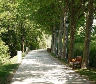  Chambre � louer 1 pi�ce 15 m�