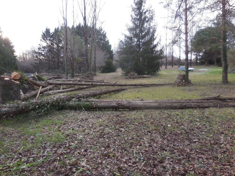 Arbres/bois Jardin