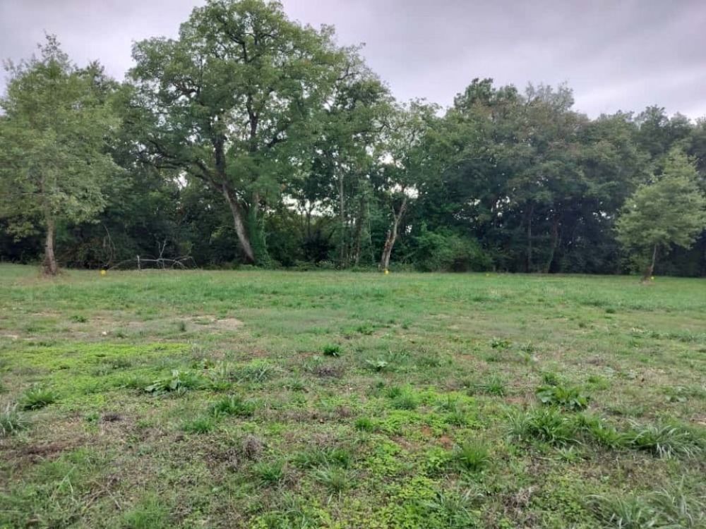 Maisons neuves   Prayssas (47360)