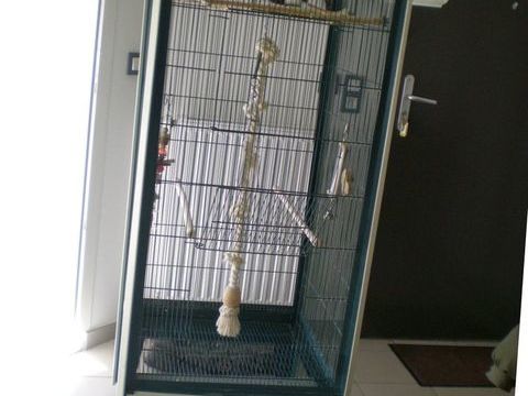 Voli&egrave;re d'int&eacute;rieur avec roulettes 70 86340 Roches-pr�marie-andill�