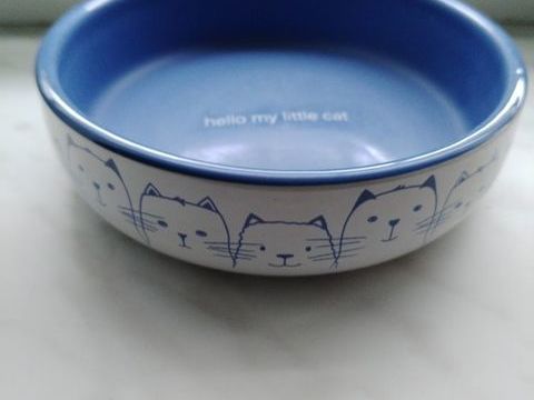 Gamelle pour chat "Trixie"
5 59600 Maubeuge