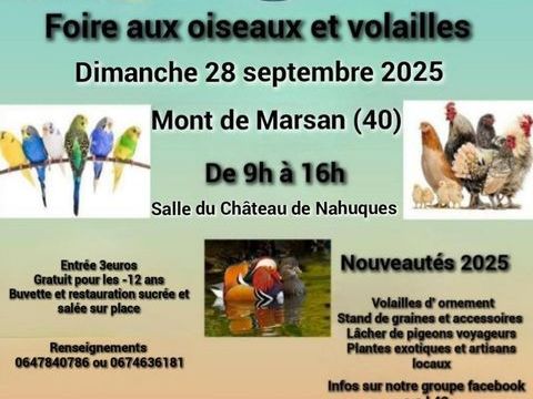 Foire aux oiseaux et volailles 3 40000 Mont-de-marsan