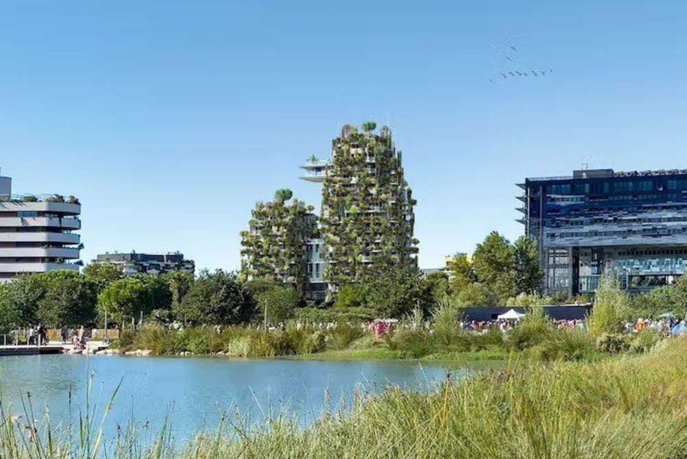 Appartements neufs   Montpellier (34000)
